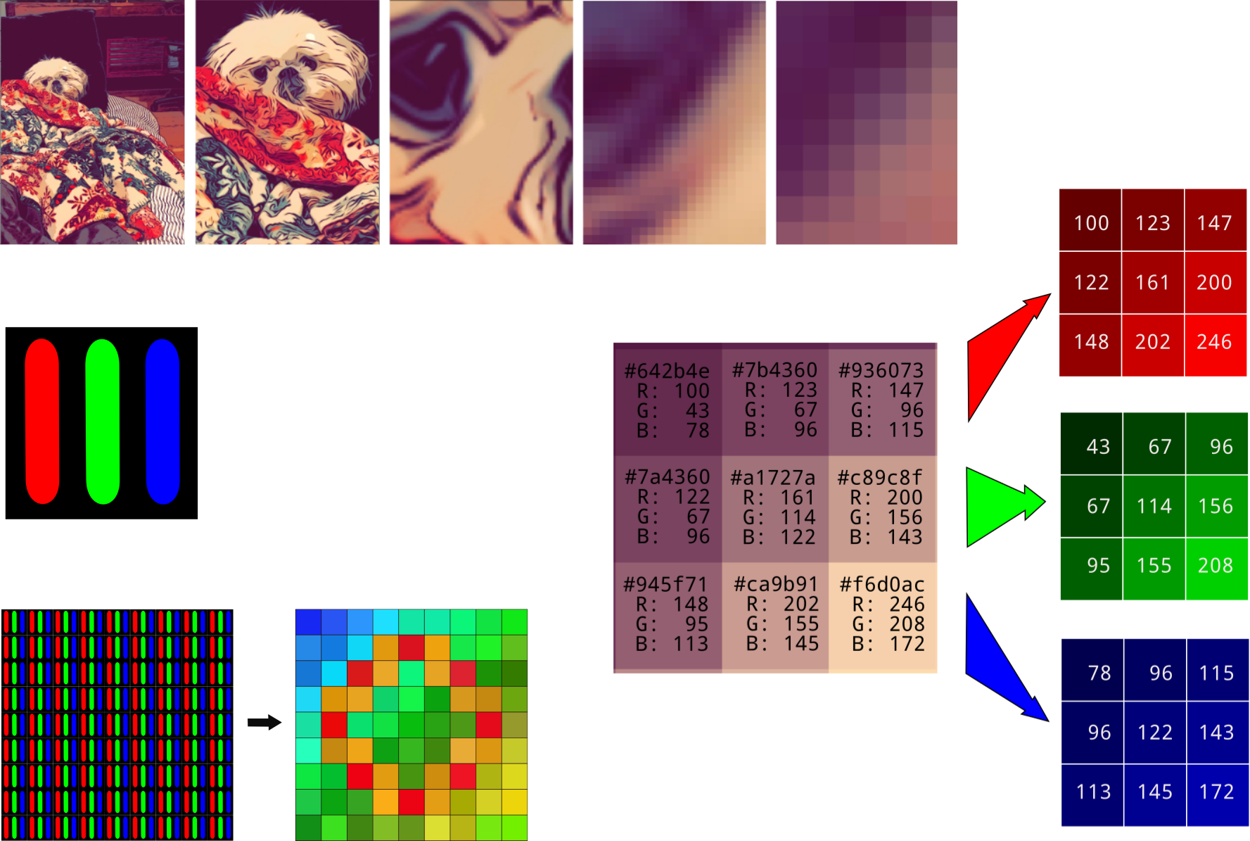 Image quantification montage
