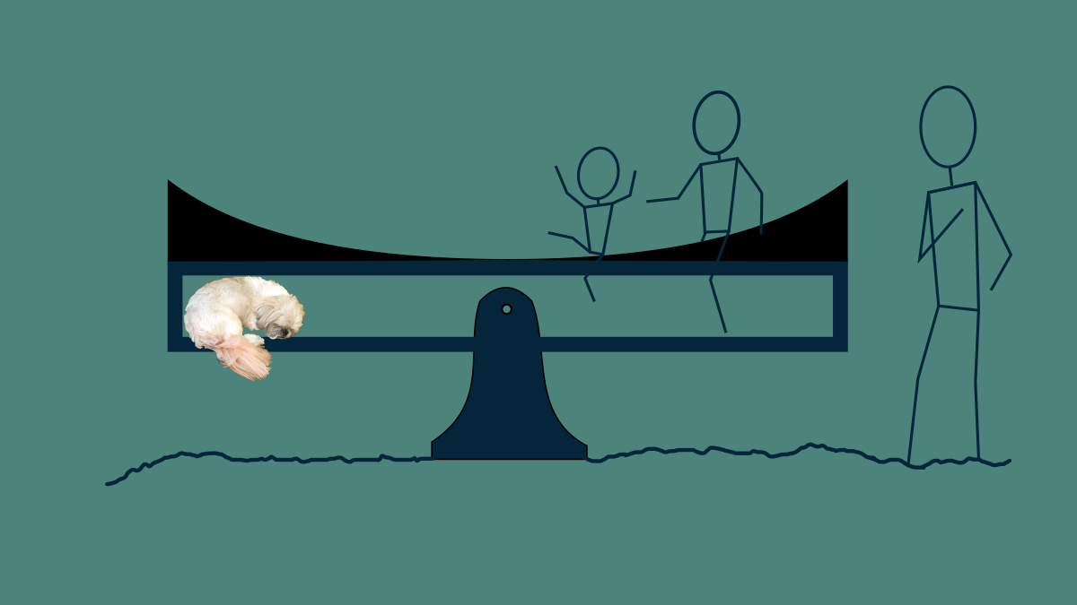 A seesaw with a dog sleeping on one end and two children sitting on itto balance it out. A curved object on top pushes them away from the edge and toward the center.